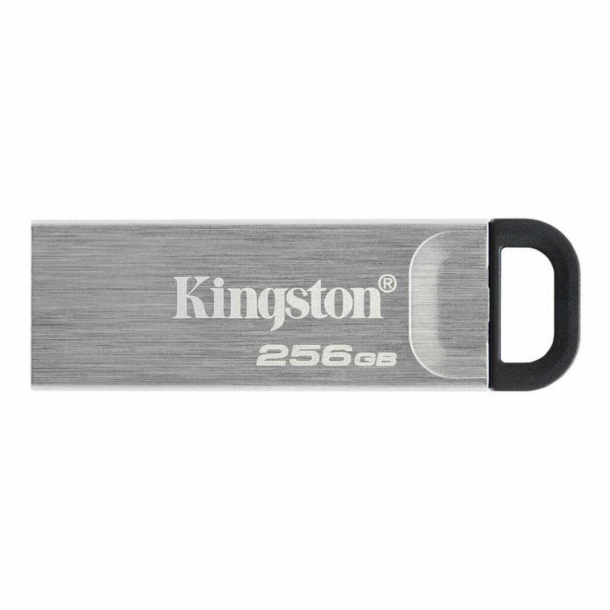USB-stik Kingston Sort 256 GB