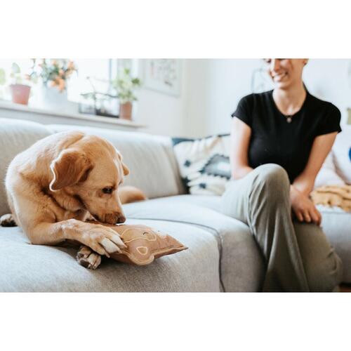 Legetøj til hunde Hunter Tough Tundra Beige Vaskebjørn