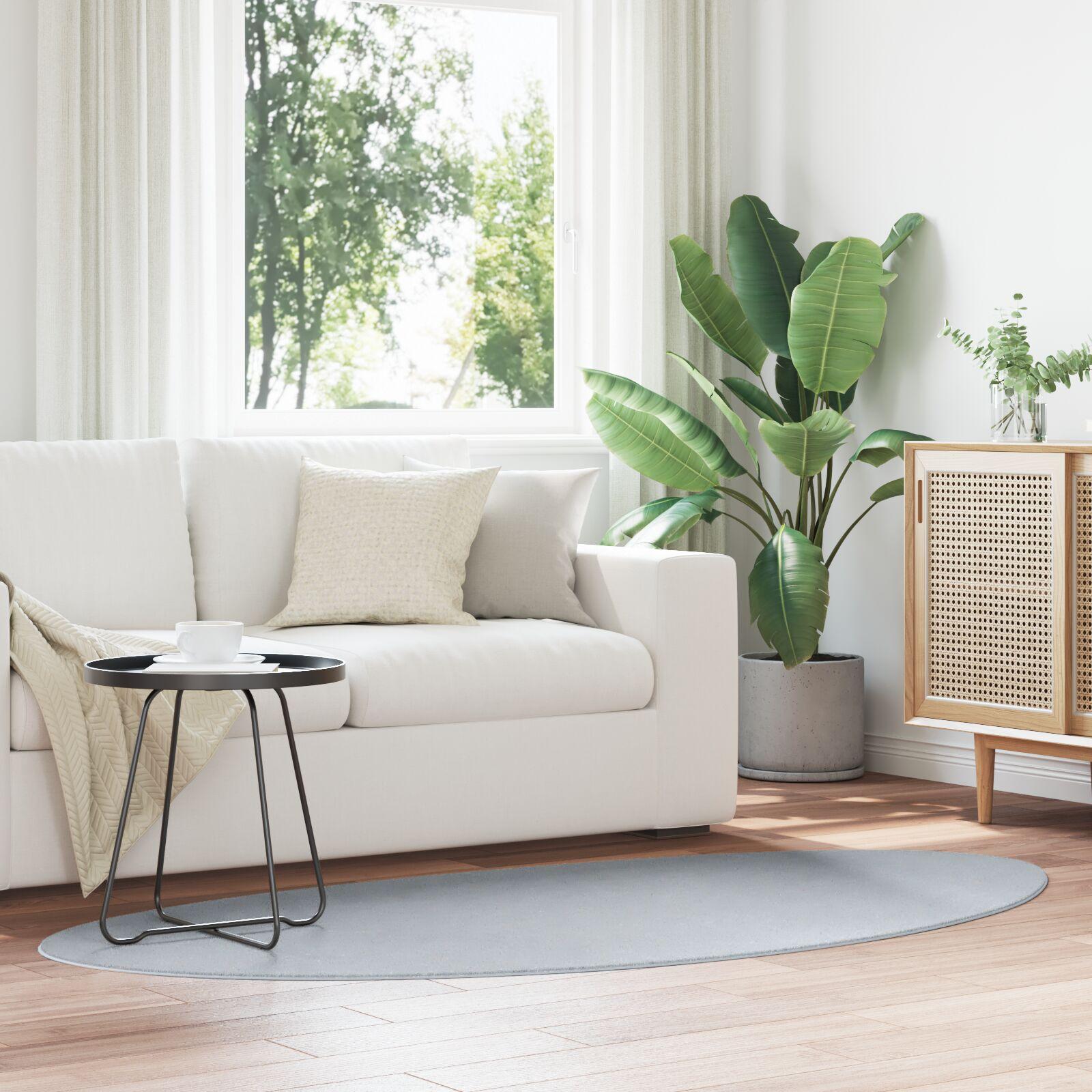 Tæppe 'HUARTE'Kort Pile Blødt og Vaskbart Grå 100x200 cm