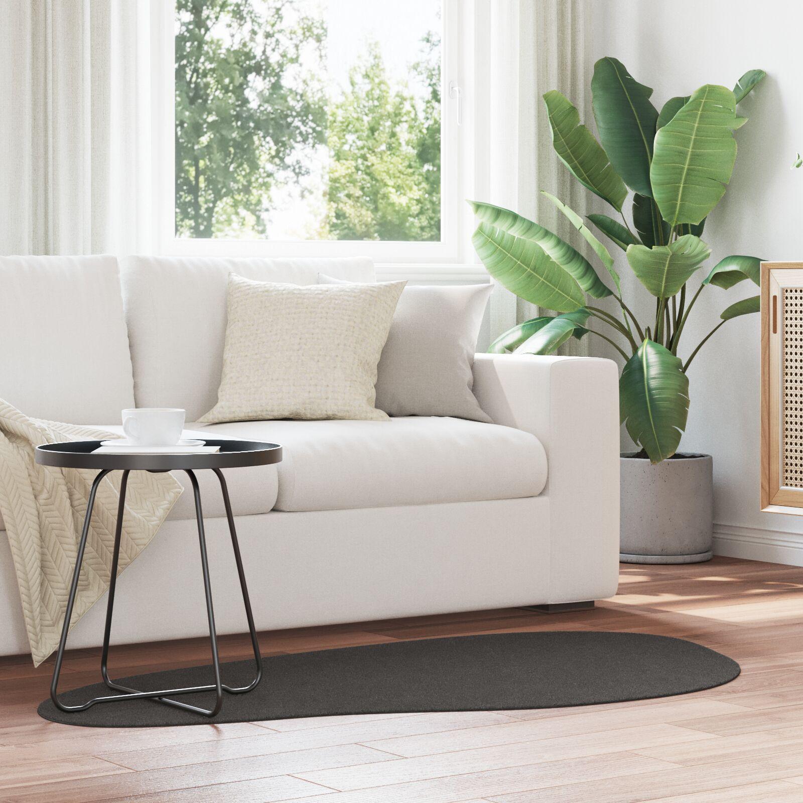 Tæppe 'HUARTE'Kort Pile Blødt og Vaskbart Antracit 80x150 cm