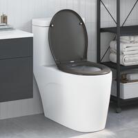 Quick Release Toiletbræt med Blød Lukning Duroplast Antracitgrå
