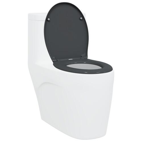 Quick Release Toiletbræt med Blød Lukning Duroplast Antracitgrå