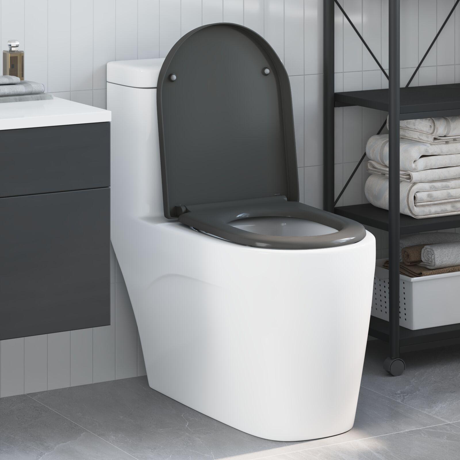 Quick Release Toilet Seat med Soft Close Duroplast Antracitgrå