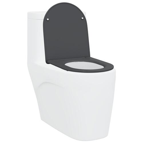 Quick Release Toiletsæde med Blød Luk Duroplast Antracit