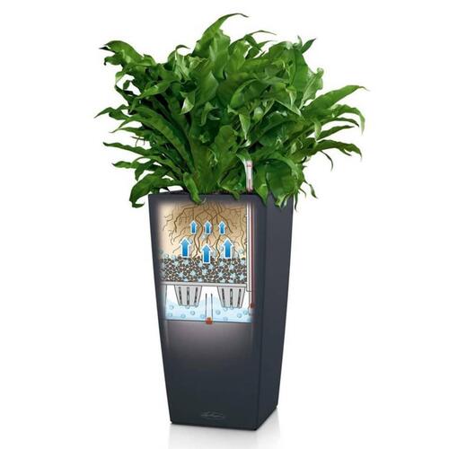 LECHUZA plantekrukke CUBICO Color 22 ALL-IN-ONE skifergrå