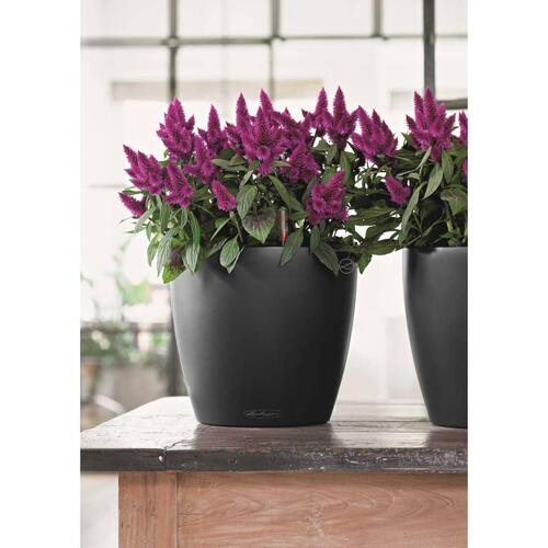 LECHUZA plantekrukke Classico Color 43 ALL-IN-ONE skifergrå 13244