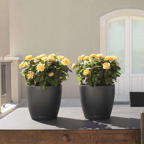 LECHUZA plantekrukke Classico Color 43 ALL-IN-ONE skifergrå 13244