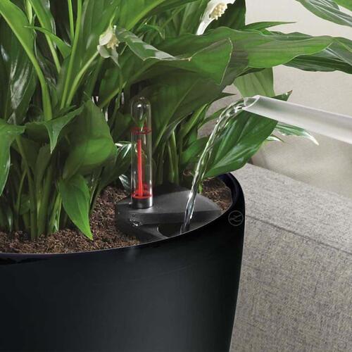 LECHUZA plantekrukke Classico Color 43 ALL-IN-ONE skifergrå 13244
