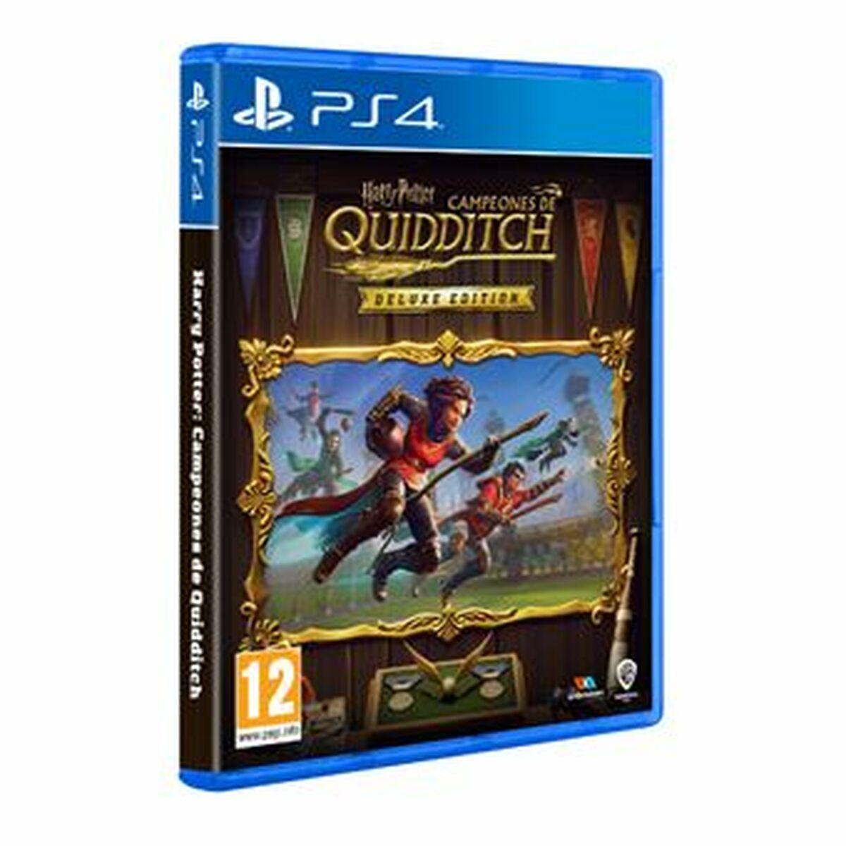 PS4 spil - Sony Harry Potter Campeones de Quidditch