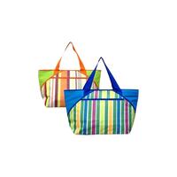 Transportabel Køleboks 30,5 L 50 x 16 x 38 cm