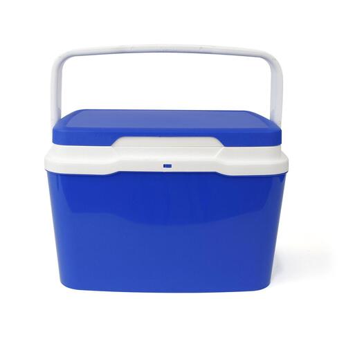 Transportabel Køleboks Aquapro Blue Blå 28 x 21,5 x 19 cm (6 enheder)