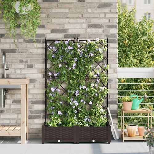 Plante med trellis 2 stk Brun 80x40x125.5 cm