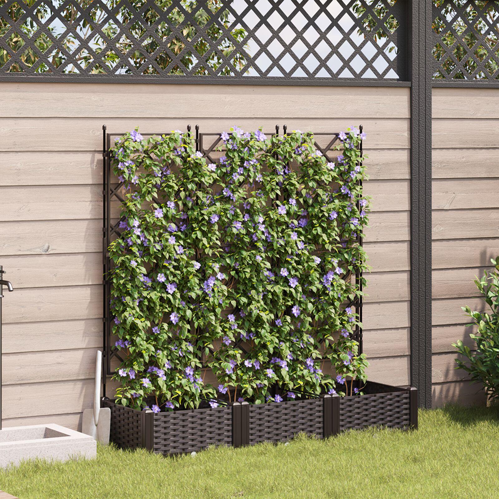 Haveplante med trellis 3 stk Mørkebrun 120x40x125.5 cm