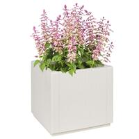 Haveplantekasse Hvid 36x36x35 cm PP
