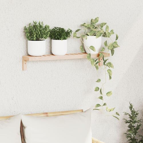 Væghængt Hylde 62x10x12,5 cm Solid Træ Valnød