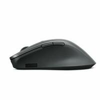 Mus Lenovo 4Y51J62544 Grå Monochrome 2400 dpi