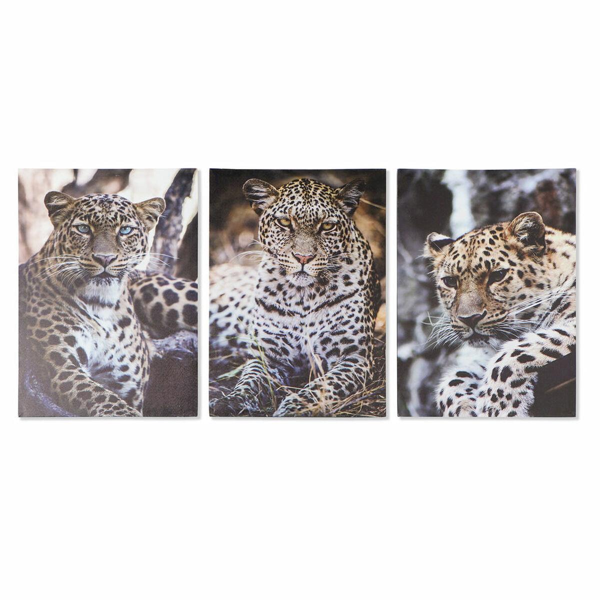 Lærred - leopard, træ/MDF, 50 × 70 cm