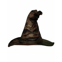 Hat Harry Potter