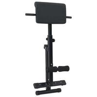 Hyperextension Bænk 120 kg Sammenfoldelig og Justerbar Stål
