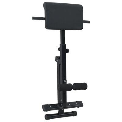 Hyperextension Bænk 120 kg Sammenfoldelig og Justerbar Stål