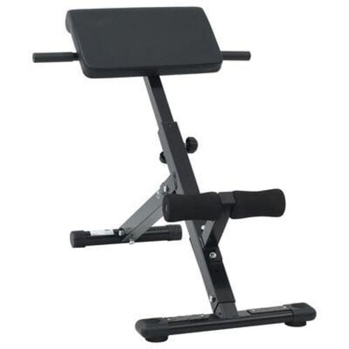Hyperextension Bænk 120 kg Sammenfoldelig og Justerbar Stål