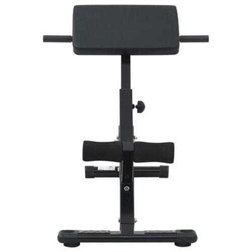 Hyperextension Bænk 120 kg Sammenfoldelig og Justerbar Stål