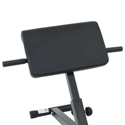 Hyperextension Bænk 120 kg Sammenfoldelig og Justerbar Stål