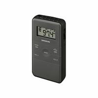 Transistorradio Sangean DT-140 Sort AM/FM