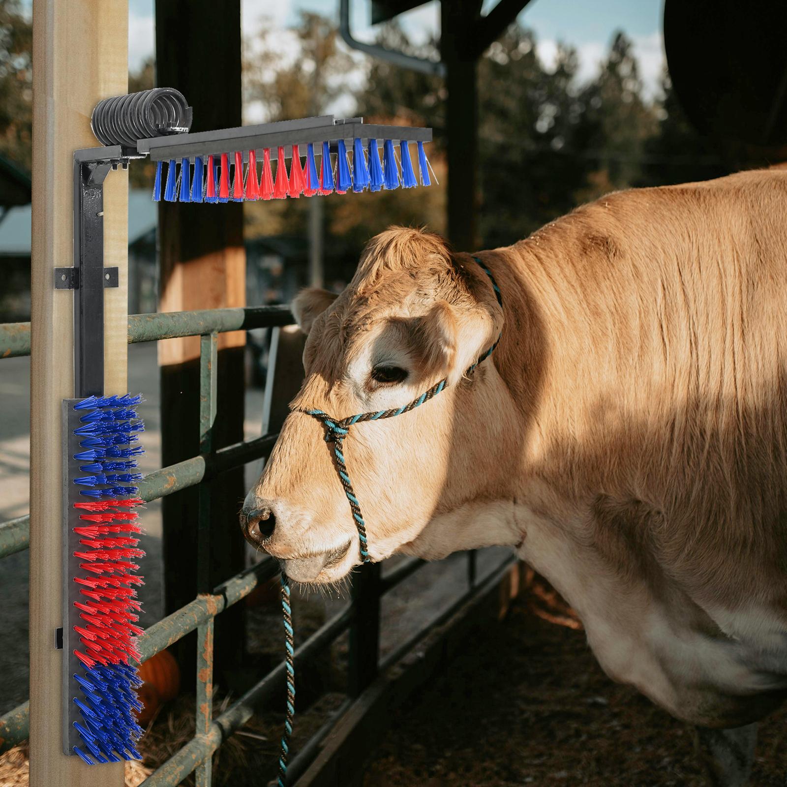 vidaXL Kvæg Børster Andet Rød og blå 84 x 10 x 91 cm Plastik og Stål