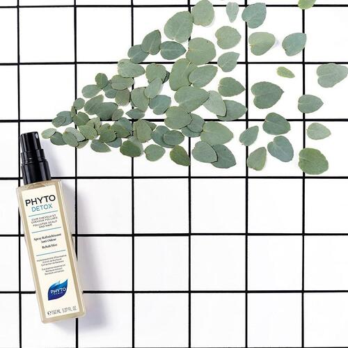 Anti-lugt hårspray Phyto Paris Phytodetox 150ml 150 ml Forfriskende