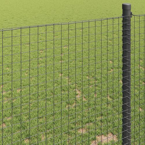 Welded Wire Fence Grøn 0.8x10 m Stål