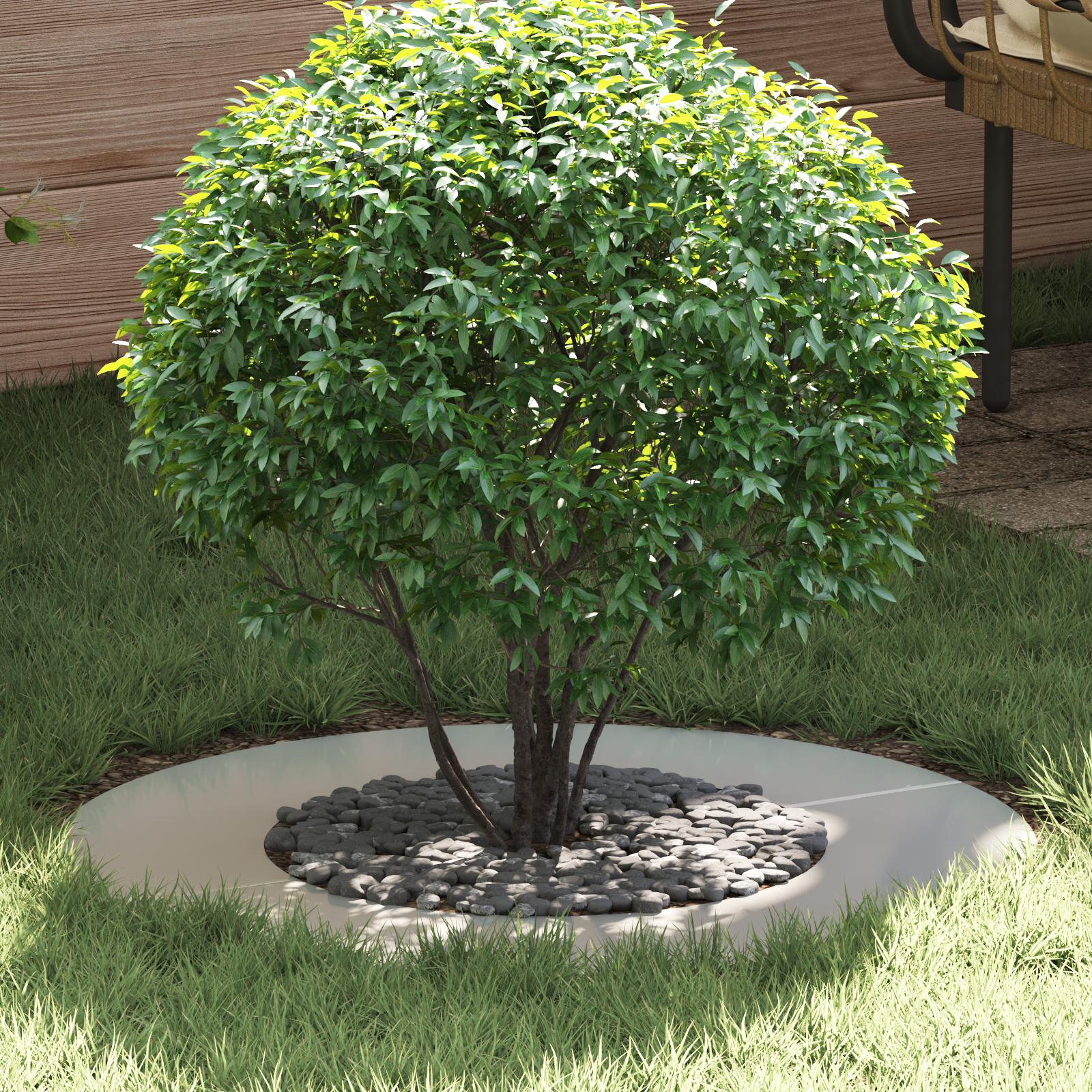 Galvaniseret Planter Galvaniseret Galvaniseret Metal Medium