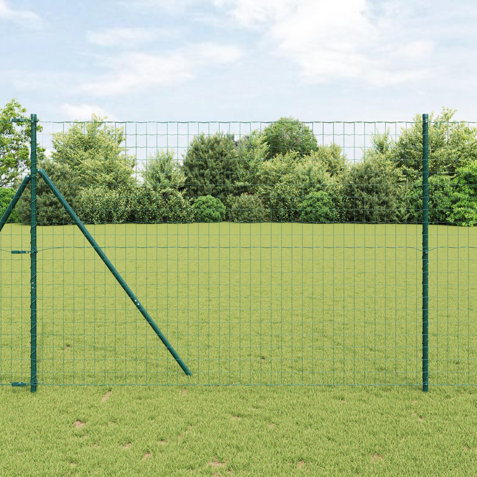 Euro Hejn Grøn 1.6 x 10 m PVC-belagt jern billede