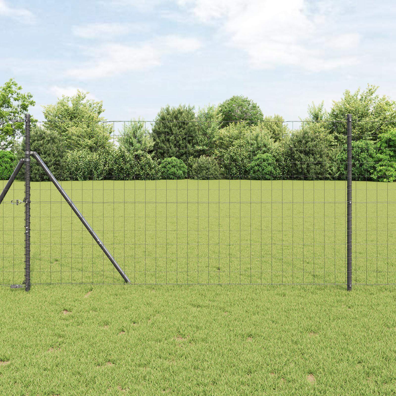 Euro Hejn Grå 1.2 x 10 m PVC-belagt jern billede