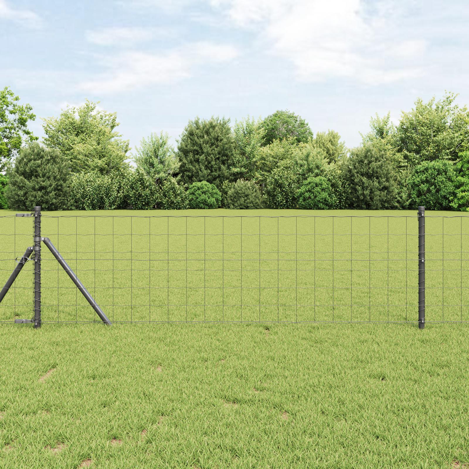 Euro hegn - grå 0,6 × 50 m i PVC-belagt jern billede
