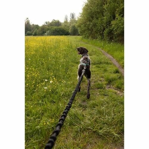 Hundesnor Sort XL