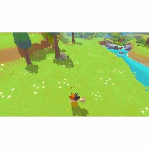 Xbox Series X spil Microids Little Island