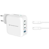 Vægoplader Conceptronic 120550803101 Hvid 100 W