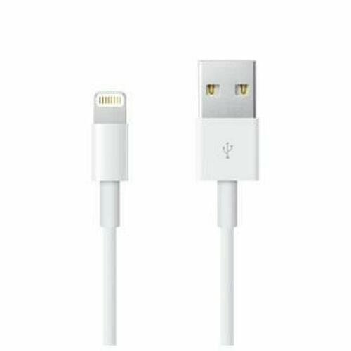 Lyskabel Apple ME291ZM/A Hvid 50 cm (1 enheder)