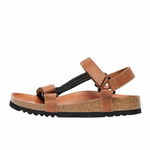 Kvinde Sandaler Scholl PRS001BRAZ39 Brun