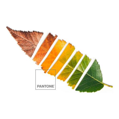 Nordisk cover Leaf Pantone UK dobbeltseng (220 x 220 cm)