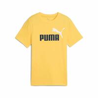 Kortærmet T-shirt til Mænd Puma 15-16 år