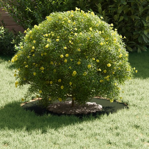 Plastik Plantekrukke Olivengrøn Plastik Stor Plantekrukke