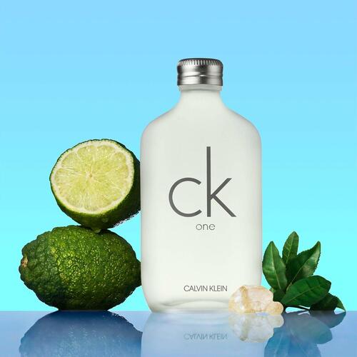 Unisex parfume Calvin Klein ck one EDT 100 ml