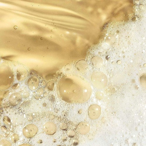 Dermalogica Oil to Foam Total Cleanser - ansigtsrens i gel