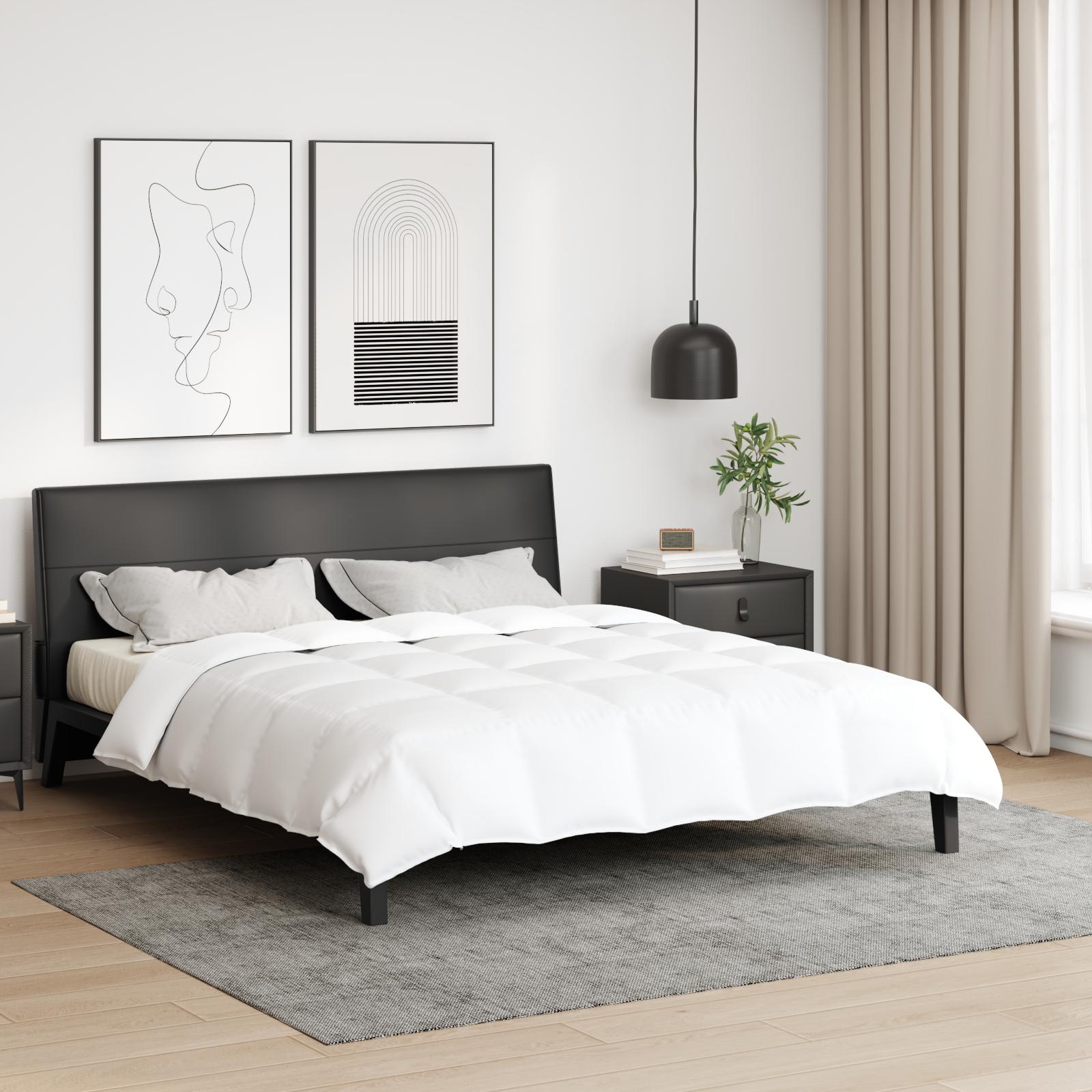 Tæpper & dyner Hvid 200 x 220 cm Dun