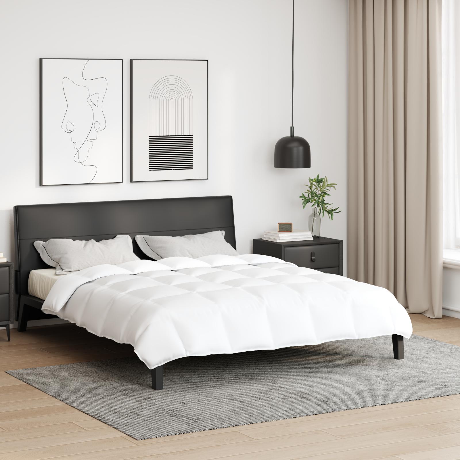 Tæpper & dyner Hvid 200 x 220 cm Dun billede