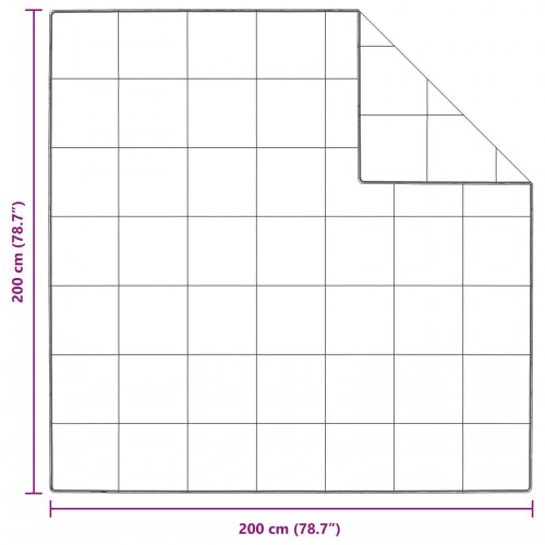 Tæpper & dyner Hvid 200 x 200 cm Dun
