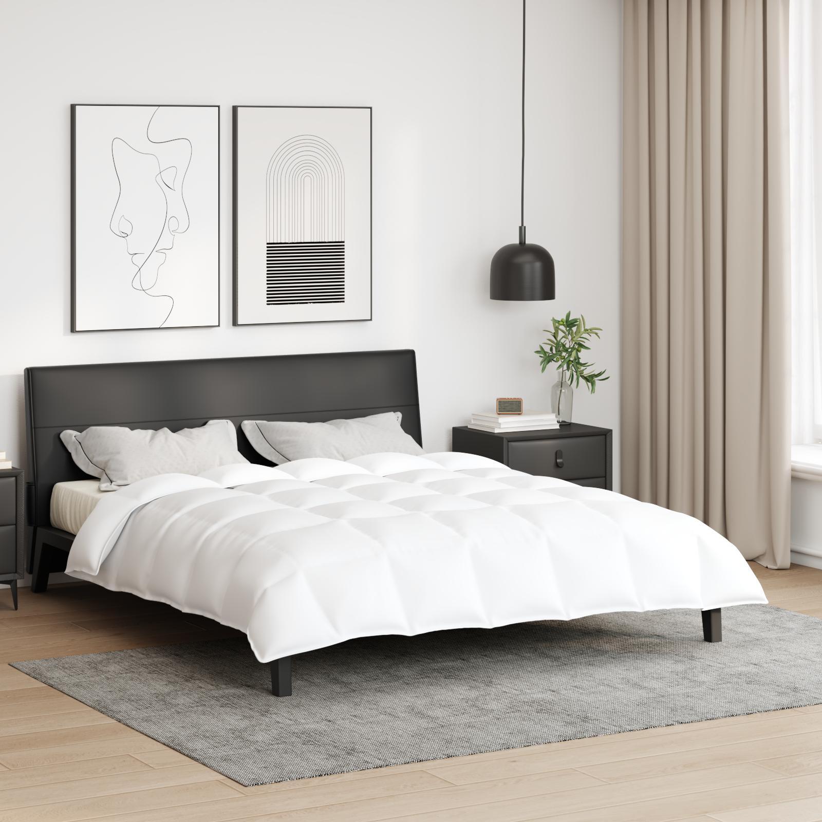 Tæpper & dyner Hvid 200 x 220 cm Dun