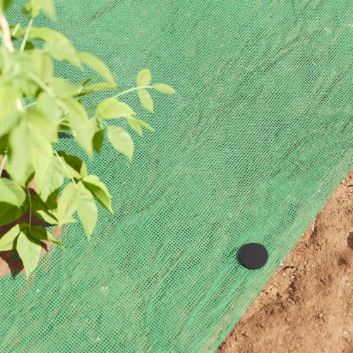 Plastik Pegs 500 stk Sort 3 x 11 cm Plastik